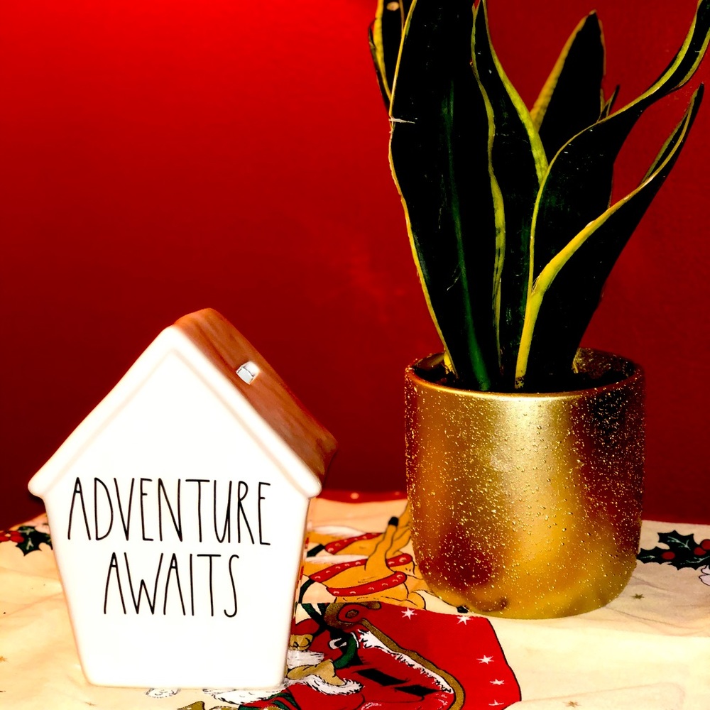 Adventure awaits piggy bank